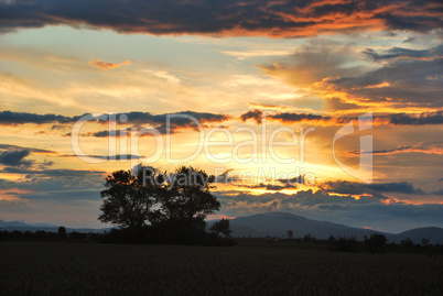 sonnenuntergang am feld