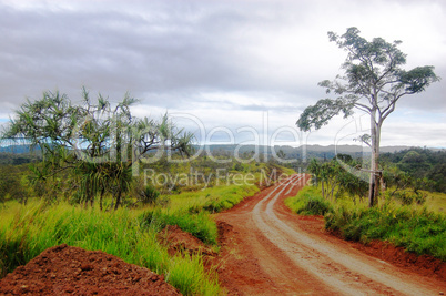 Road at red dirt