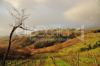 Tuscan Hills