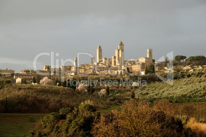 San Gimignano (Tuscany)