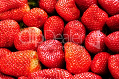 fresh strawberry