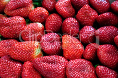 fresh strawberry