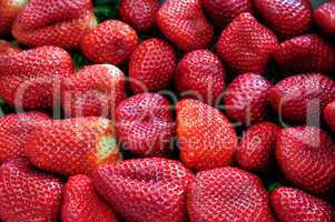 fresh strawberry