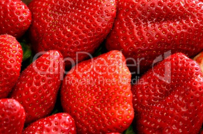 fresh strawberry