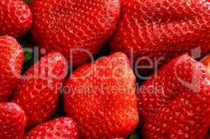 fresh strawberry