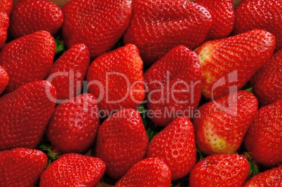 fresh strawberry