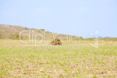 Tractor plows a field preparing for the rice grow up in Panama