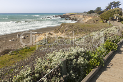 Wooden Walkway Along Ocean Coast