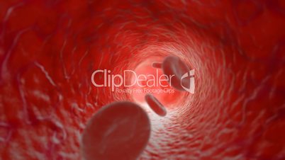 Red blood cells flowing in artery. HD. Looped.