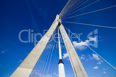 Suspension Bridge Contemporary Shape