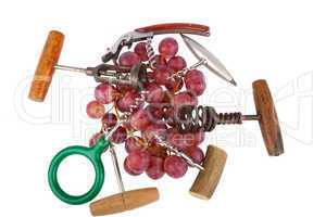 Verschiedene Korkenzieher zwischen Weintrauben