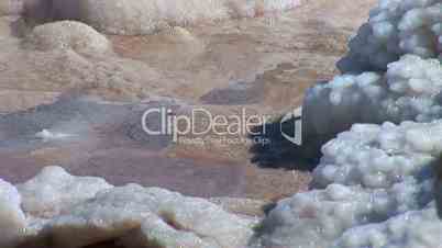 Dead Sea 15