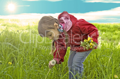 Little girl collect yellow flowers