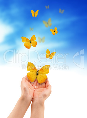 Hands with Butterflies