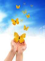 Hands with Butterflies