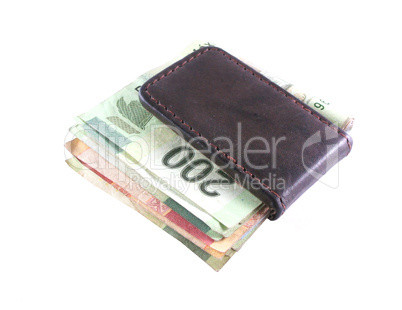 Money Clip