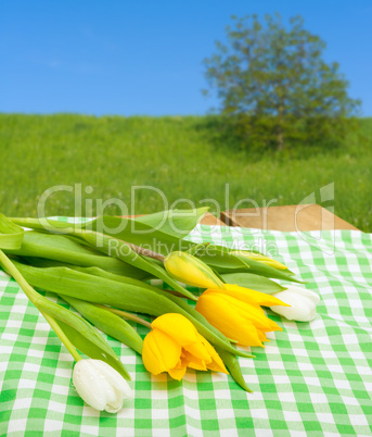 Tulips on Table