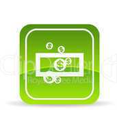 Green Save Money Icon