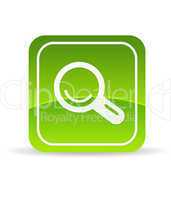 Green Magnifying Glass Icon