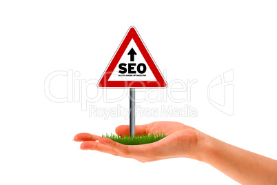 Search Engine Optimization