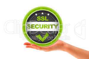 SSL Security