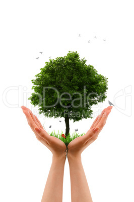Tree alive  - Hand