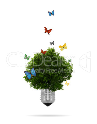 eco concept: Lightbulb with tree growing inside