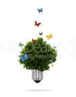 eco concept: Lightbulb with tree growing inside