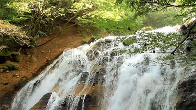 Wasserfall im Wald