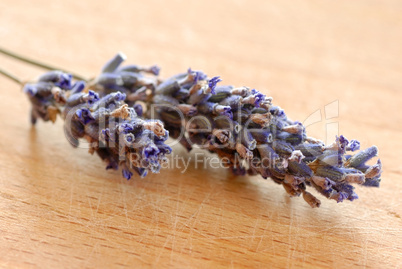 Lavender sprigs