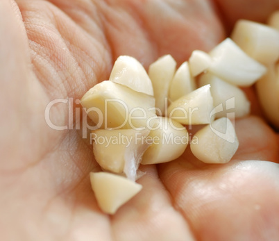 Chopped garlic on hand