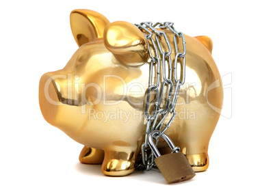 protected piggy bank