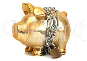 protected piggy bank