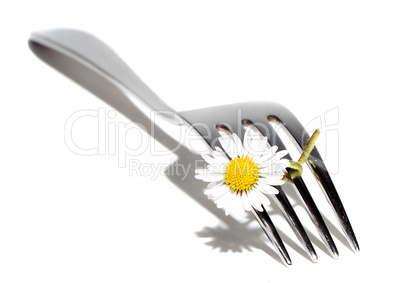 daisy on fork
