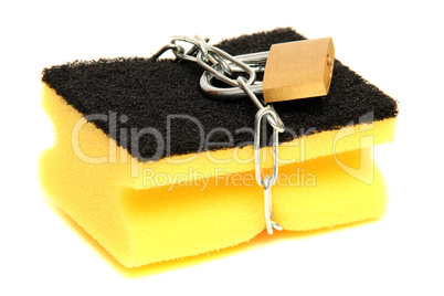 protected sponge