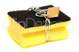 protected sponge