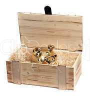 golden piggybank in wooden case