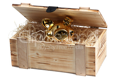 piggybank in wooden box with wood-wool