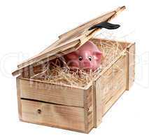 pink piggybank in box with wood-wool