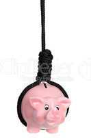 pink piggy bank with black gibbet