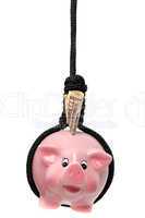 pink piggy bank with dollar and black gibbet