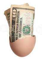 dollar bank notes in egg