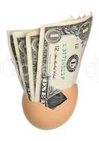 lot of dollar notes in egg