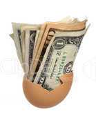 bank notes in eggshell