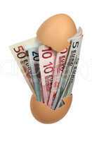 eggshell with european bank notes