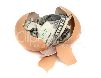 eggshell with one dollar bank note