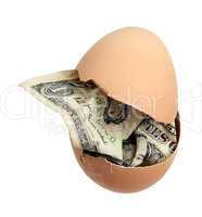 brown egg with dollar banknote