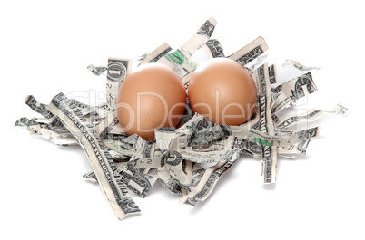 brown eggs in nest made of shredded dollars