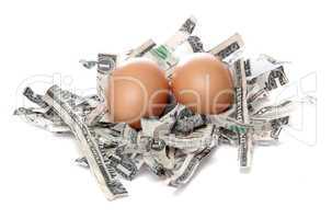 brown eggs in nest made of shredded dollars