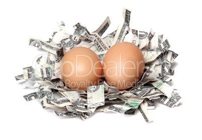 nest made of shredded dollars with brown eggs